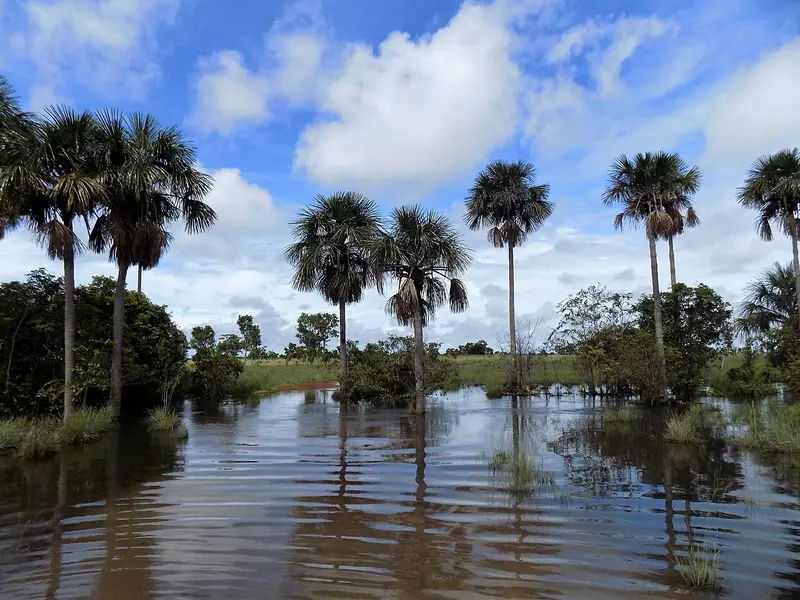 Los Llanos